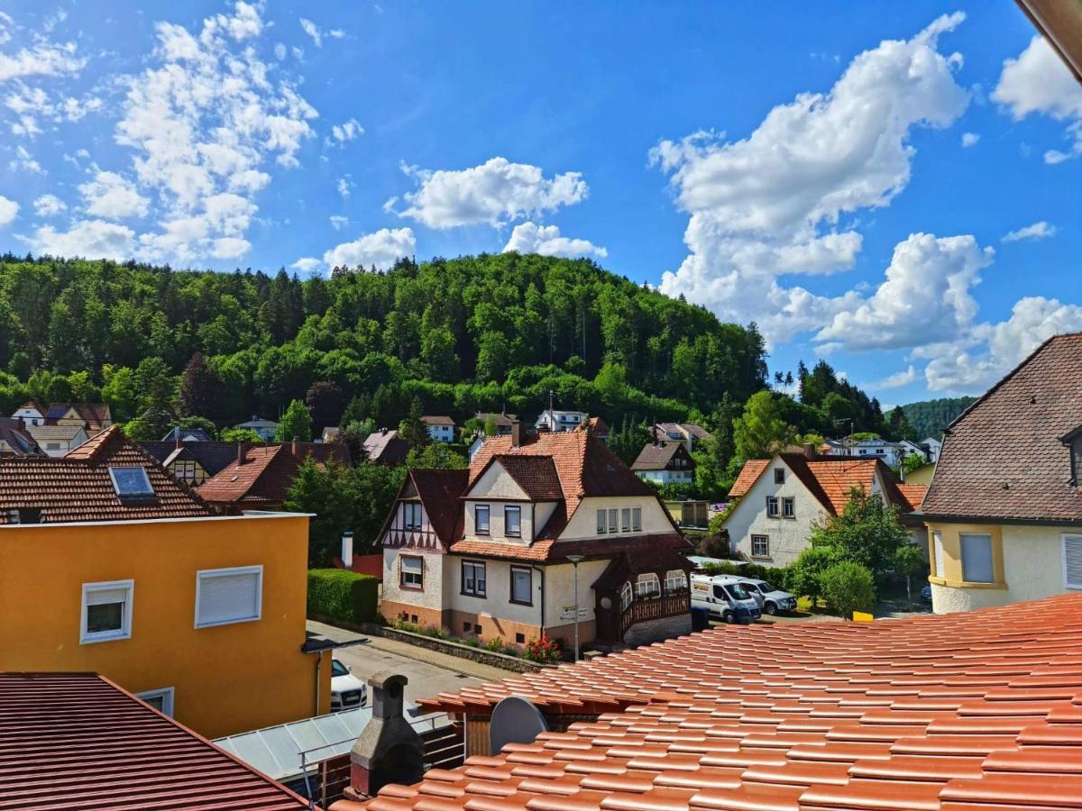 Pension Transilvania Immendingen Dış mekan fotoğraf
